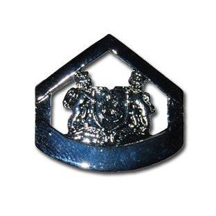 SAF #3 PIN - 2WO COLLAR