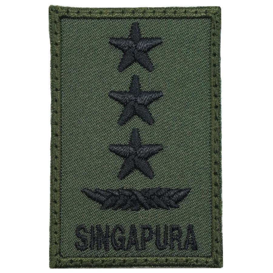Mini SAF Rank Patch (LG) OD Green, Hook Velcro Back